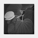 Suche nach botanik blatt magnete Botanisch