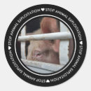 Suche nach schweinefleisch aufkleber Tier