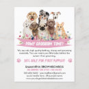 Suche nach dog flyer Tierärztlich