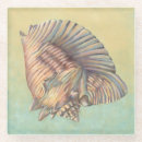 Suche nach die muschel untersetzer Konch