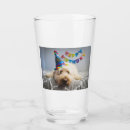 Suche nach brille Hund