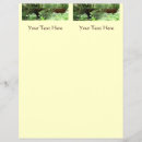 Suche nach wood flyer Natur