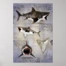 Suche nach megalodon poster Ozean