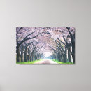 Suche nach kirschbaum leinwandbilder Frühling