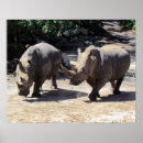 Suche nach rhino poster Tier