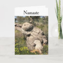 Suche nach olivenbaum karten Jede person