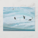 Suche nach viel gletscher karten Schnee