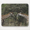 Suche nach was oben ist elektronik zubehör Giraffe