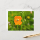 Suche nach papaver postkarten Sommer