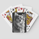 Suche nach chihuahua spielkarten Portrait