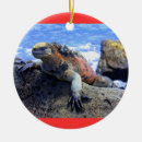 Suche nach südamerika ornamente Ecuador