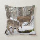 Suche nach rotwild kissen Für ihn