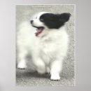 Suche nach coop poster Fotografie