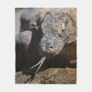Suche nach komodo drache Indonesisch