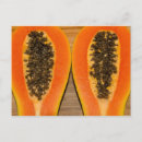Suche nach papaya postkarten Tropisch