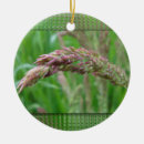 Suche nach wachs ornamente Für alle