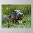 Suche nach mutter afrika poster Natur