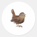 Suche nach singt aufkleber Vogelvogel