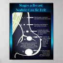 Suche nach brüste poster Für sie