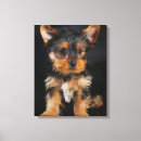 Suche nach yorkshire terrier leinwandbilder Tier