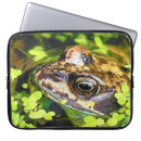 Suche nach frosch laptop schutzhüllen Tiere