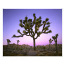 Suche nach rosa baum poster Farbenfroh