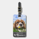 Suche nach cavalier king charles spaniel accessoires Tier