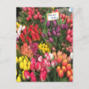 Suche nach gewächshaus postkarten Blume