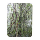 Suche nach rebe magnete Natur