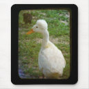 Suche nach weiße enten mousepads Geflügel