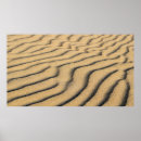 Suche nach sanddüne poster Strand