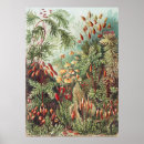 Suche nach dunkler wald poster Dunkle akademie