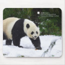 Suche nach pandas mousepads China