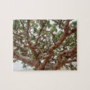 Suche nach insel puzzle Baum
