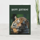 Suche nach ernsthaft karten Katze