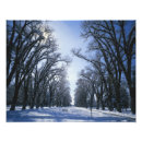 Suche nach salzsee poster Usa