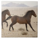 Suche nach läufer fliesen Laufen