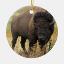 Suche nach bison ornamente Natur