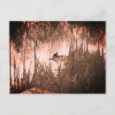 Suche nach gefährdete tiere karten Wild lebende tiere