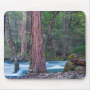 Suche nach mammutbaum mousepads Moos