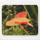 Suche nach poppy mousepads Bunt