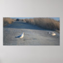 Suche nach wildlife poster Tiere