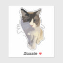 Suche nach ragdoll katze aufkleber Katzenliebhaber
