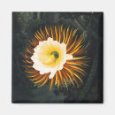Suche nach 18 jahrhundert magnete Blume