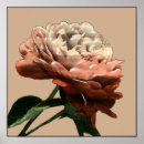 Suche nach red rose poster Botanical