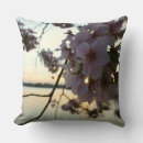 Suche nach washington dc kissen Natur