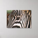 Suche nach tierhaut leinwandbilder Wild lebende tiere