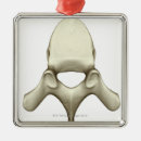 Suche nach dornen ornamente Menschlicher dorn