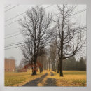 Suche nach jahreszeiten baum poster Für alle