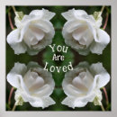 Suche nach liebe rose poster Für sie